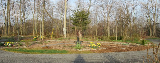 Island April 29 2017 2