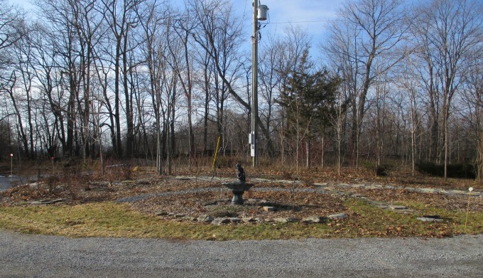 Island January 22 2017