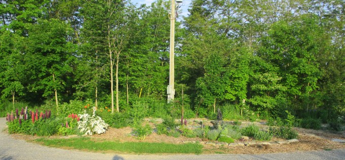 Island June 10 2017 b