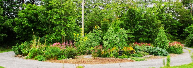 Island August 19 2017 2