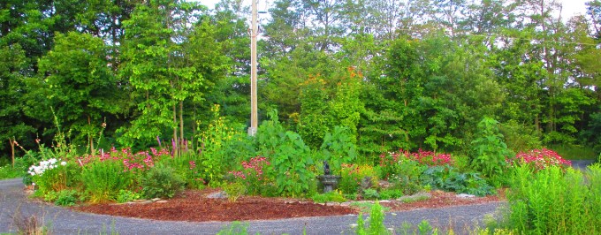 Island August 6 2017 d