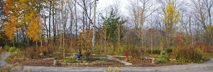 Island November 4 2017