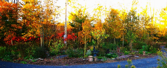 Island Oct 19 2017 b