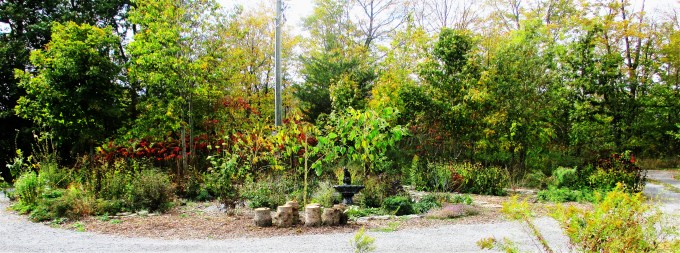 Island October 7 2017