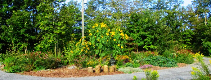 Island September 9 2017 b