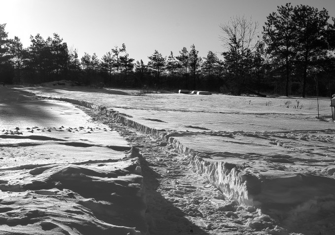 pathway to the composter December 28 2017