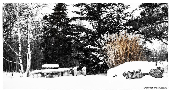 patio and grass Dec 16 2017 b&amp;w name