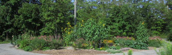 The Island Aug 27 2017