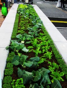 LO Congress January 9 2018 011 formal garden of edibles