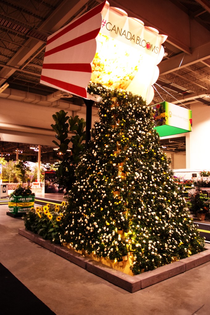 Canada Blooms 2018 welcome 3