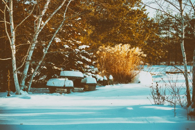 Patio in the snow December 28 2017