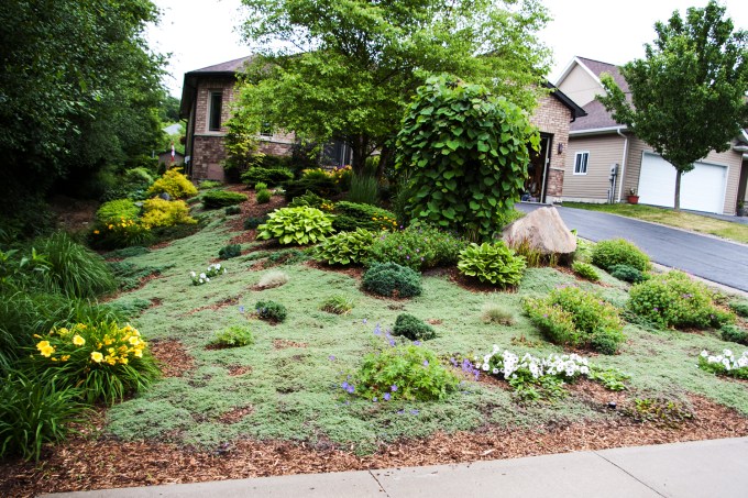 Garden Tour #7 June 24 2018