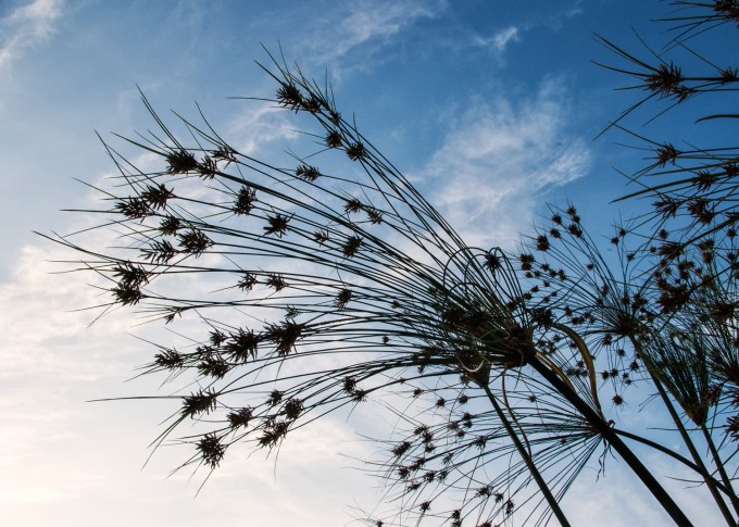 King Tut fireworks Sept 7 2018 2