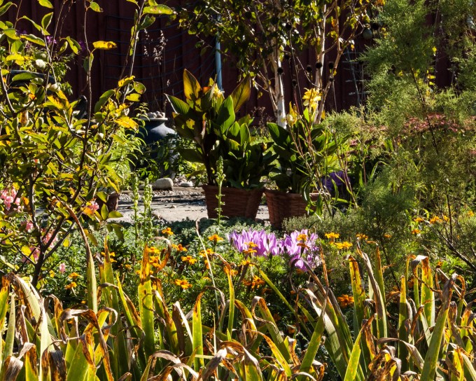 patio - Sept 28 2018 morning b