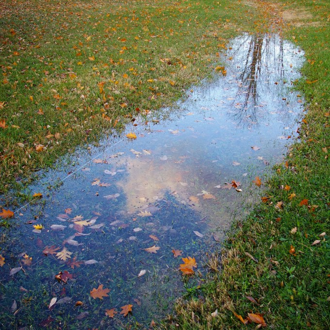 front yard reflections Nov 10 2018 2