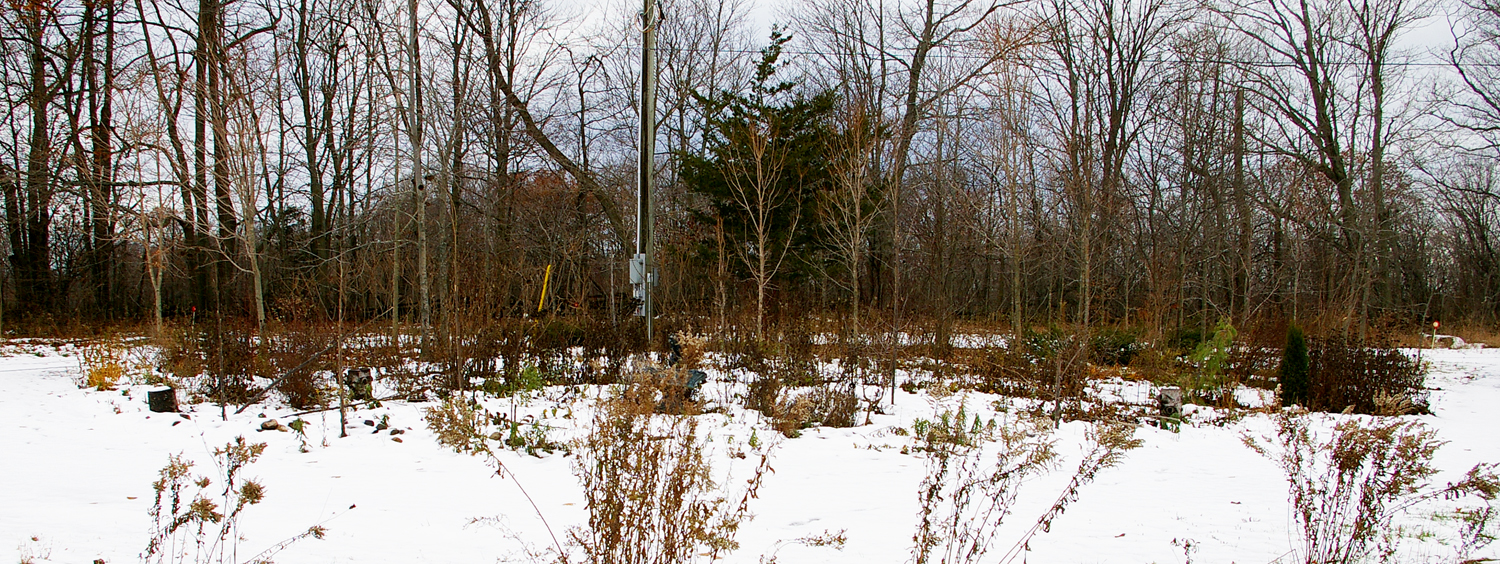 The Island Garden, November 17 2018