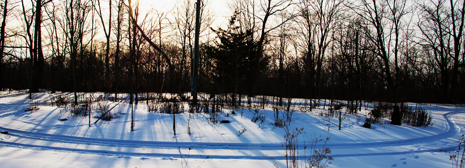 Snow covered Island garden bed March 1, 2019 - about one and a half feet of snow.  Sunny, late afternoon, shadows on the snow.