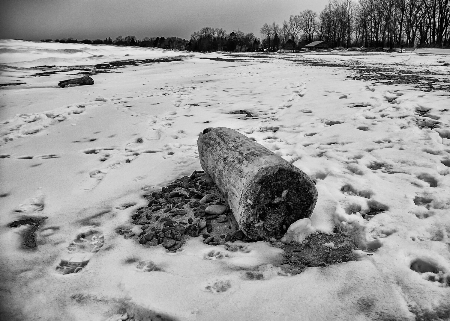 Wellington Beach in winter - covered by snow, ice mounds on the left, a forlorn looking log in the front.
