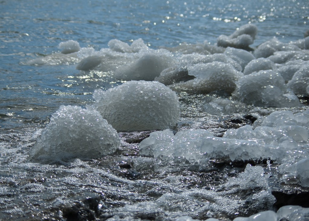 chunks of ice floating in the water