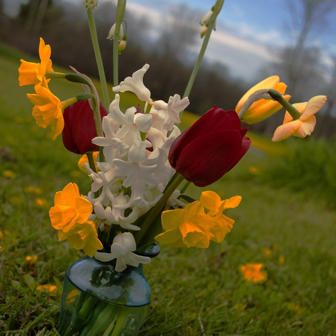  A vase of fresh cut spring flowers.