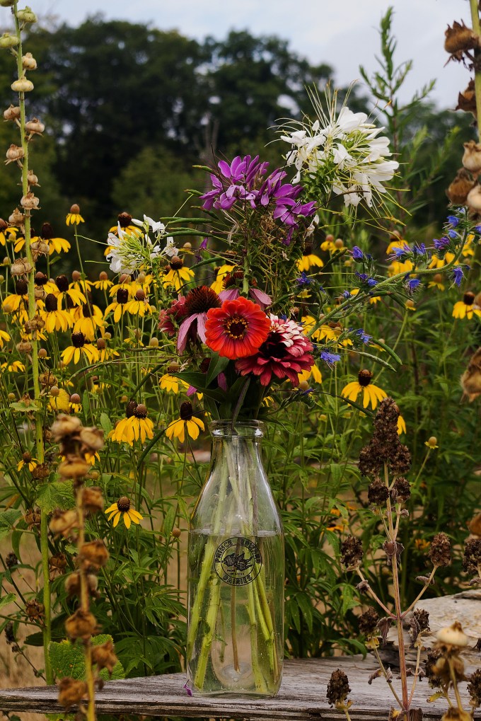 same milk jug, same flowers