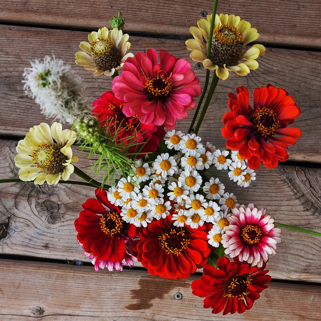 top view of the avove vase