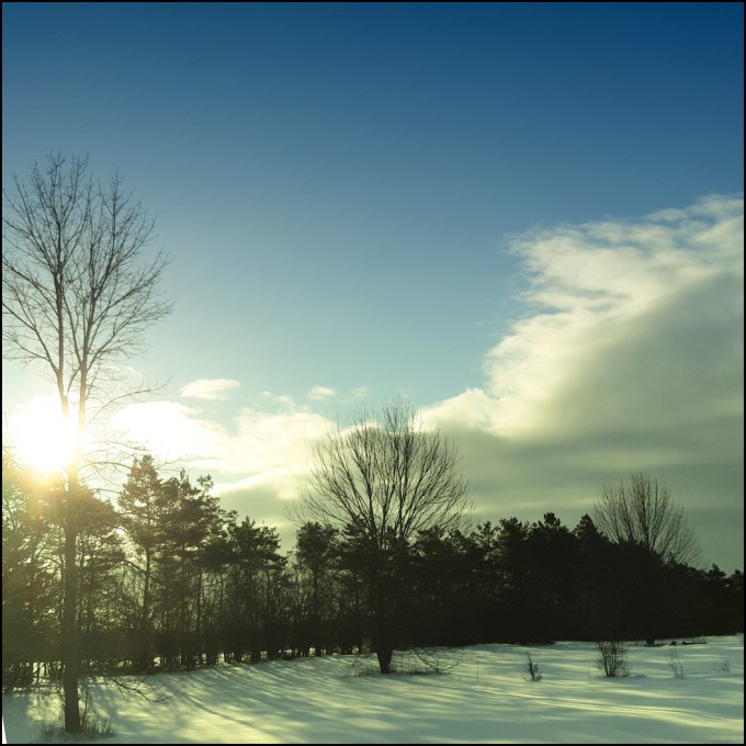 Photo o clouds in a blue sky, snow on the ground, a line of pine trees going back