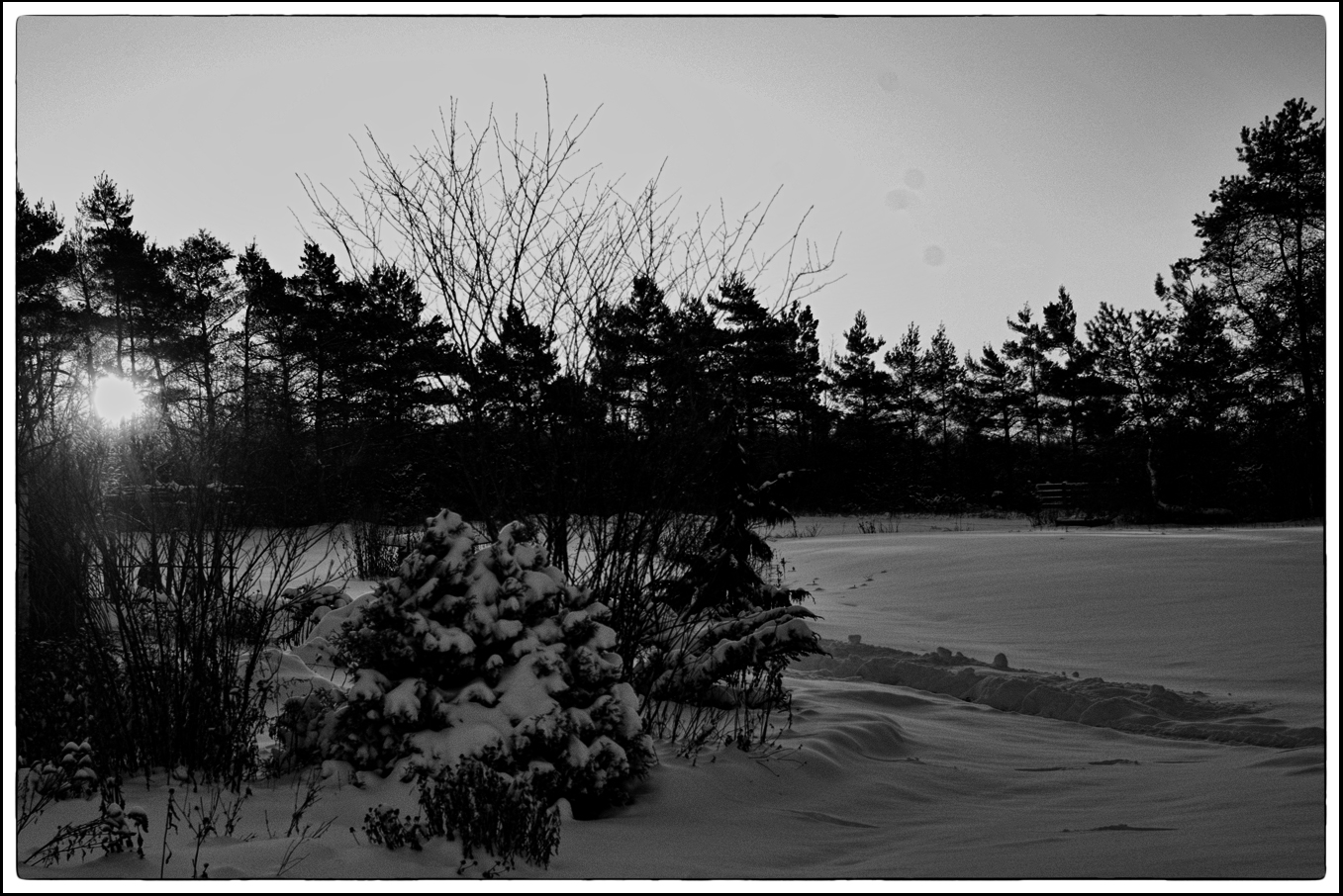 Sunrise over a snow covered backyard